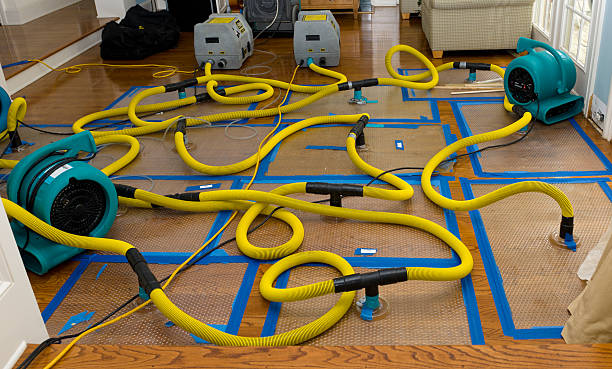 Professional Sewage Cleanup technician working in Long Branch, VA